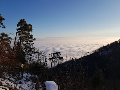 Photo 2 de Santelhöchi