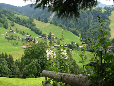 Photo 1 de Habkern
