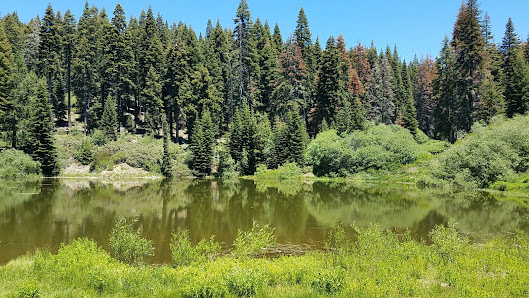 Photo 1 de Sequoai Crest