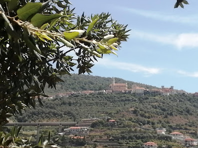 Photo 2 de Castellaro
