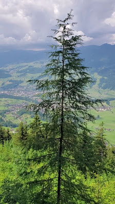 Photo 3 de Ächerlipass