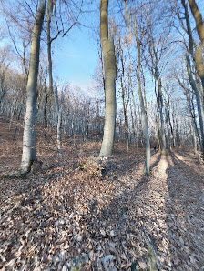 Photo 2 de Exelberg