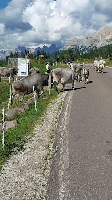 Photo 3 de Nova Ponente