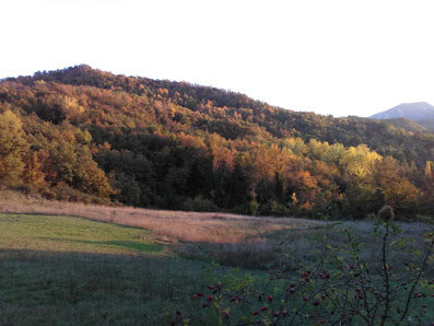 Photo 1 de Stanco di Sopra