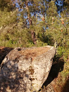 Photo 1 de Alto de Lagares
