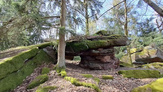 Photo 1 de Hohe Derst