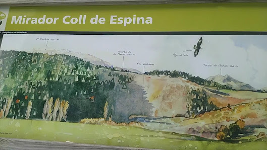 Photo 3 de Coll de l'Espina