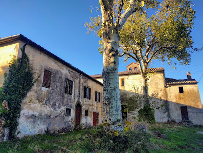 Photo 1 de Montebenichi