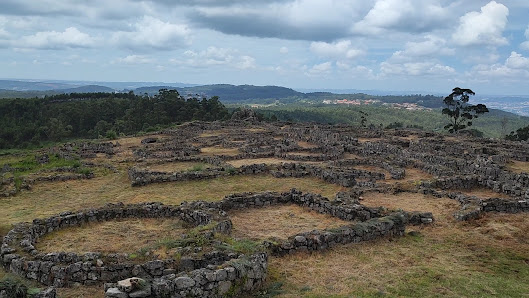 Photo 3 de Citânia de Sanfins