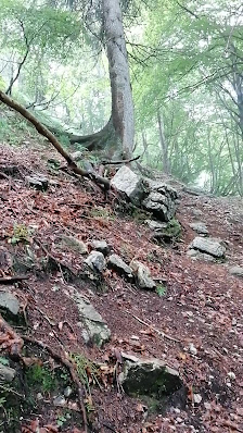 Photo 3 de Baite di Mezzeno