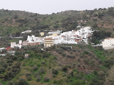 Photo 1 de Olias