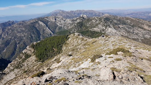 Photo 1 de El Lastonar