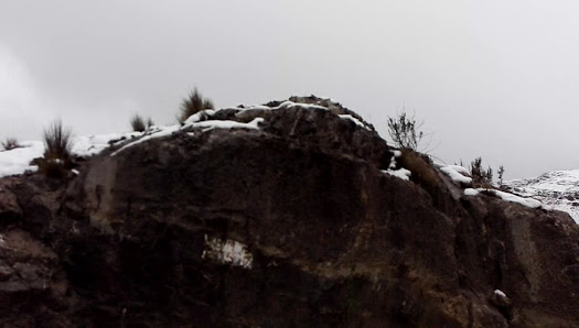 Photo 2 de Abra Chaucha