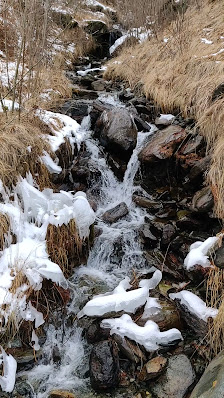 Photo 2 de Primolo