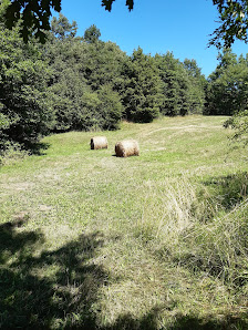 Photo 1 de Campeggi