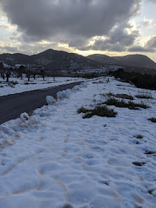Photo 3 de Puerto de Biar