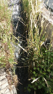 Photo 3 de La Capileira