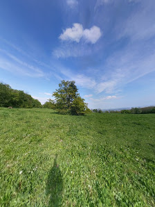 Photo 2 de Bisamberg