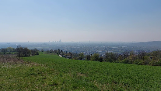 Photo 3 de Bisamberg