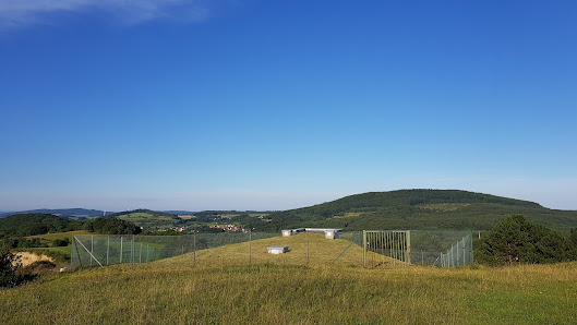 Photo 2 de Epterode (Hohekopf)