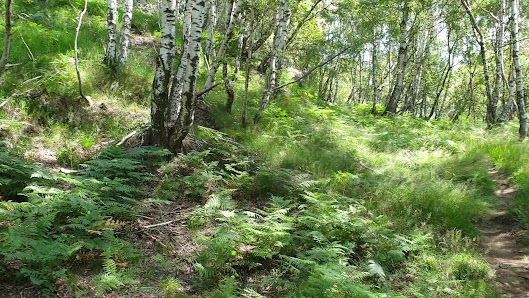 Photo 2 de Alto Malcantone