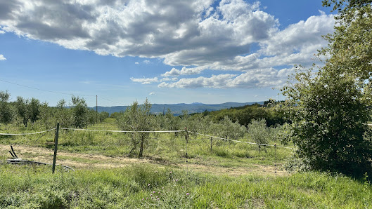 Photo 2 de Valico di Monte Nibbio