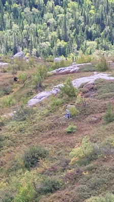 Photo 2 de Mont-du-Lac-des-Cygnes