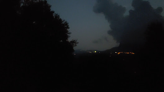Photo 2 de Bosco