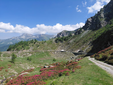 Photo 1 de Grange del Pis