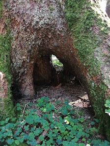 Photo 1 de Eichenberg