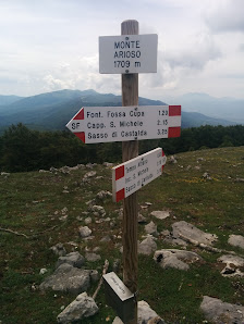 Photo 1 de Monte Arioso