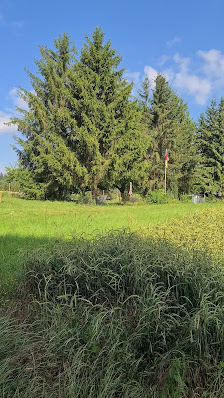 Photo 2 de Birkenfeld