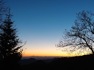 Photo 1 de Castagnola