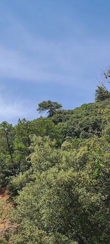Photo 2 de Col de Bel-Homme