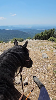 Photo 3 de Col de Bel-Homme