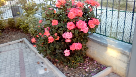 Photo 1 de Monte Luco (L'Aquila)