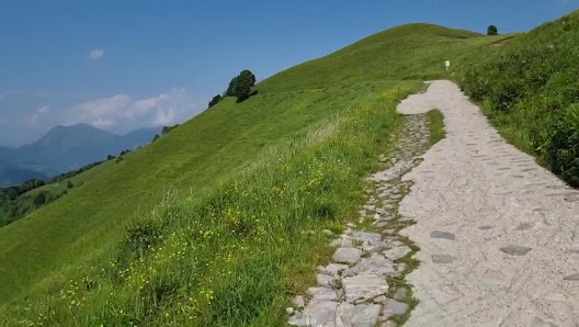 Photo 3 de Passo del Palio