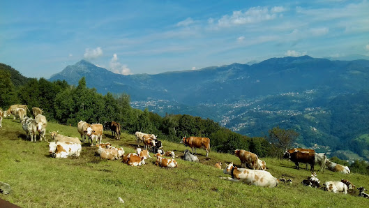 Photo 2 de Roncola Alta