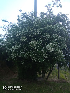 Photo 1 de Valico della Silvetta