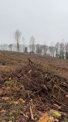 Photo 3 de Mönchswalder Berg
