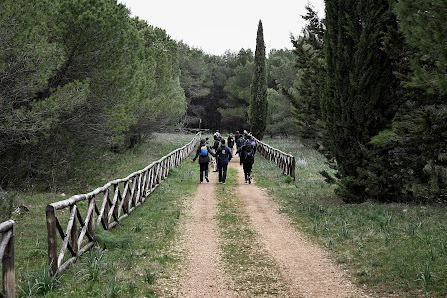 Photo 1 de Bosco Pulicchie