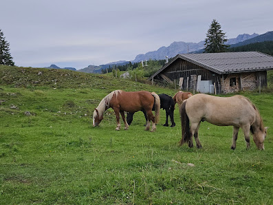Photo 2 de Winklmoos-Alm