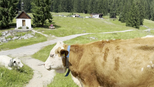 Photo 3 de Winklmoos-Alm