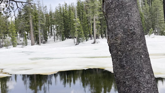 Photo 3 de Ebbetts Pass