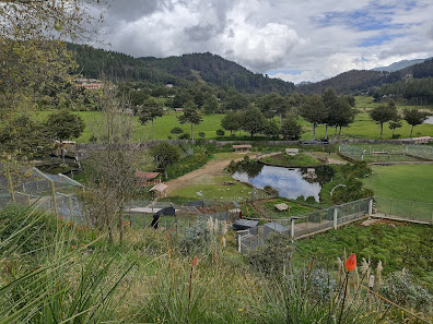 Photo 1 de Granja Porcón