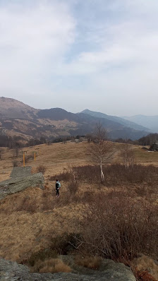 Photo 3 de Alpe Bianca