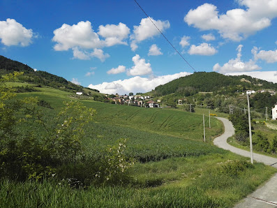 Photo 1 de Trebbiano