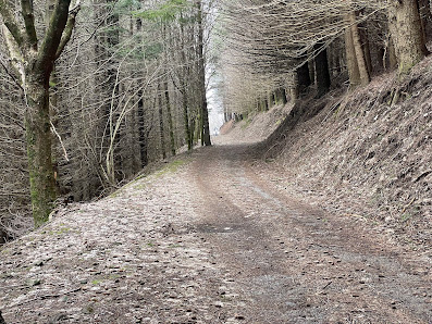 Photo 1 de Monte Pidocchina