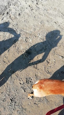 Photo 2 de Pianezza