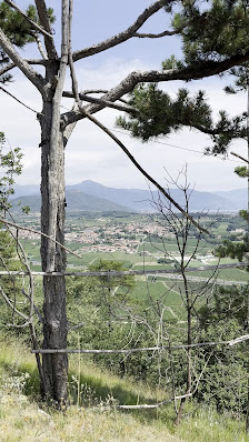 Photo 3 de Monte Orfano